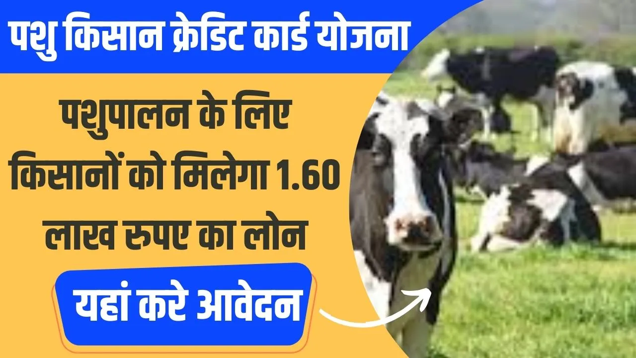 Pashu Kisan Credit Card Yojana 2024